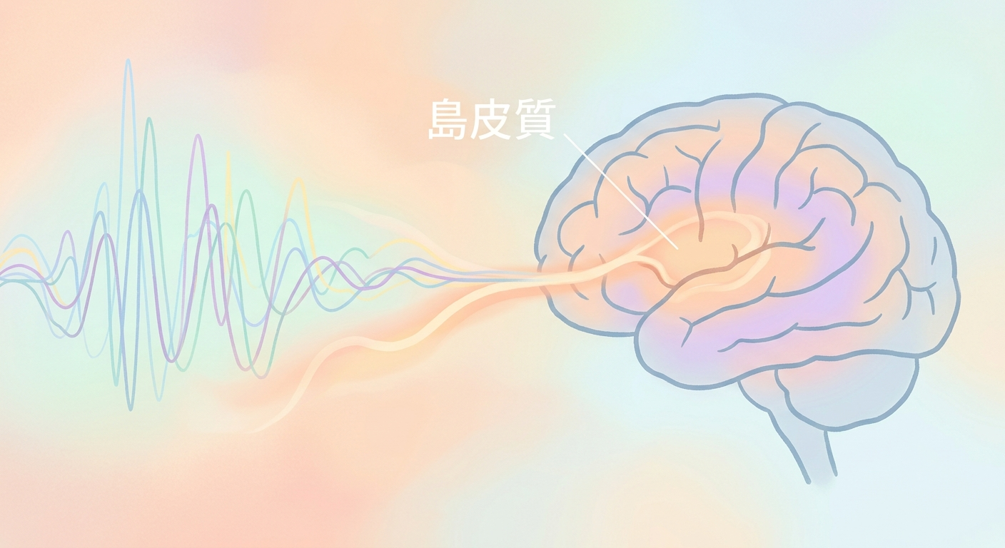 耳元の音刺激が島皮質へと伝わる経路を示す抽象的なイメージ図
